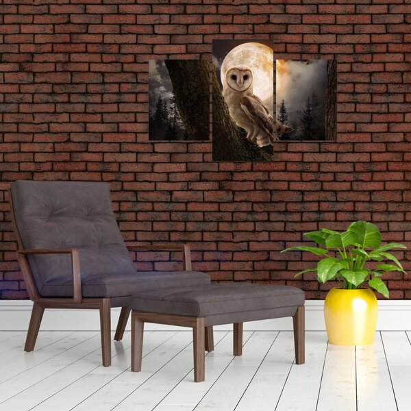 Obraz sovy (90x60 cm)
