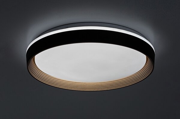 Rabalux 71308 - LED Stm. stropné svietidlo LADAN LED/48W/230V 3000-6500K + DO