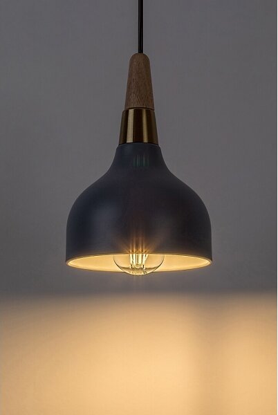 Rabalux 72135 - Luster na lanku DRUSILLA 1xE27/40W/230V