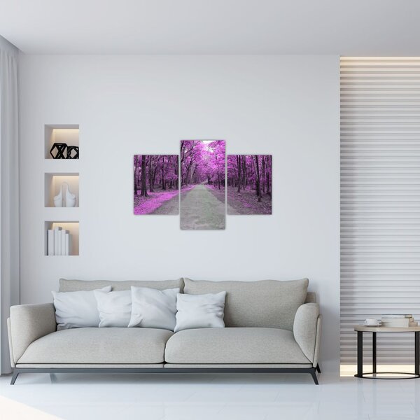 Obraz - Cesta parkom (90x60 cm)