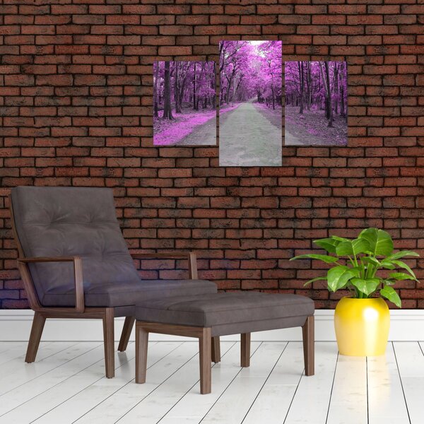 Obraz - Cesta parkom (90x60 cm)