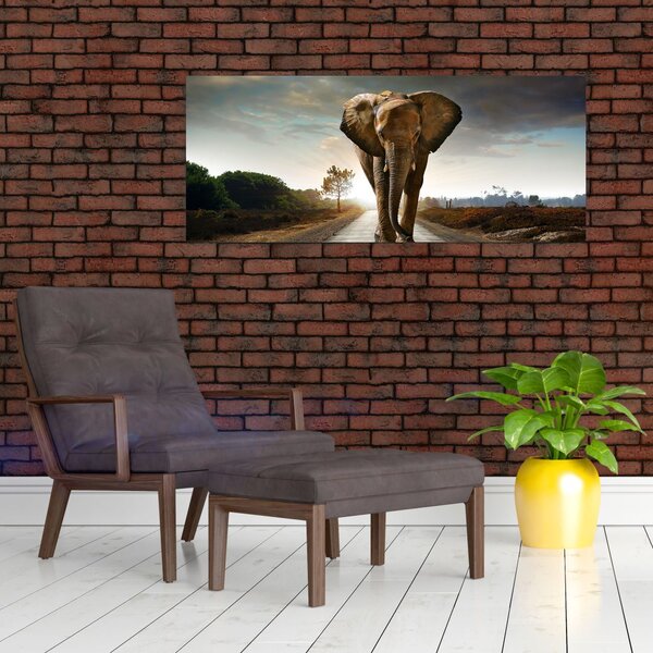 Obraz slona (120x50 cm)