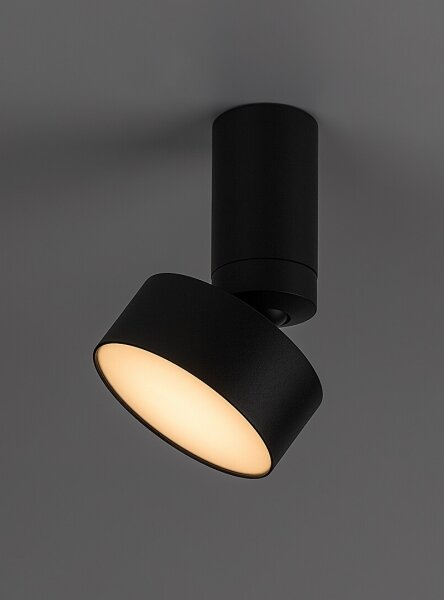 Rabalux 71321 - LED stropné svietidlo OVIDIA LED/10W/230V 3000K čierne