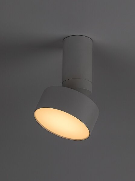 Rabalux 71326 - LED stropné svietidlo OVIDIA LED/10W/230V 3000K biela