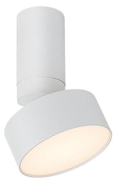 Rabalux 71326 - LED stropné svietidlo OVIDIA LED/10W/230V 3000K biela