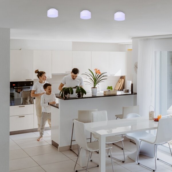Rabalux 71325 - LED stropné svietidlo OVIDIA LED/24W/230V 3000K biela