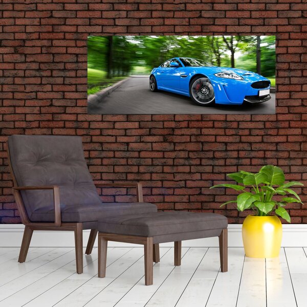 Obraz - Závodné auto (120x50 cm)