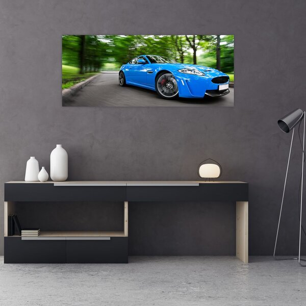 Obraz - Závodné auto (120x50 cm)