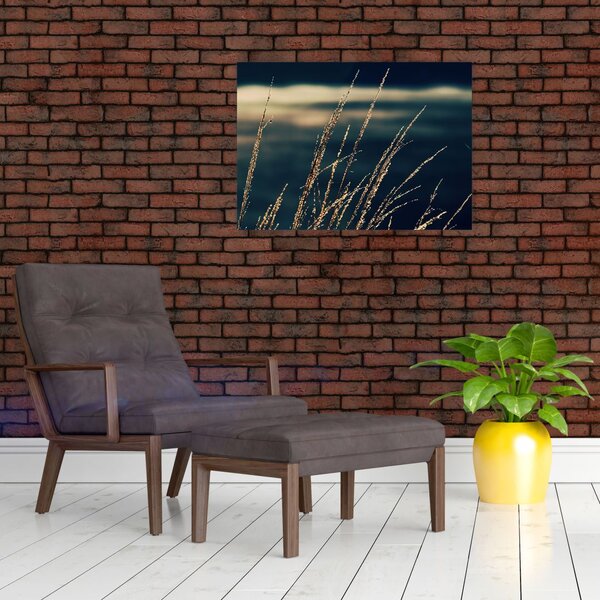 Obraz tráv (70x50 cm)