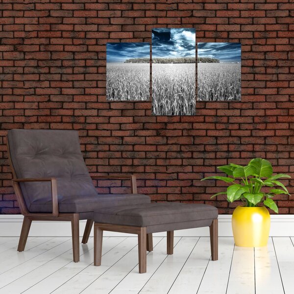 Obraz pole (90x60 cm)