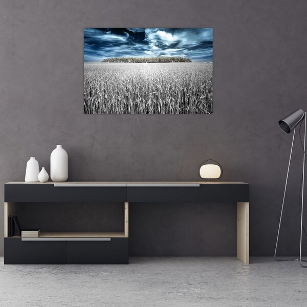Obraz pole (90x60 cm)