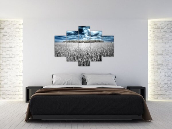 Obraz pole (150x105 cm)