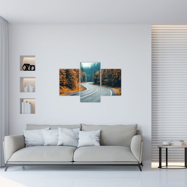 Obraz - Kľukatá cesta (90x60 cm)