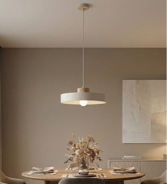 Závesný luster na lanku KIVI 1xE27/15W/230V biely