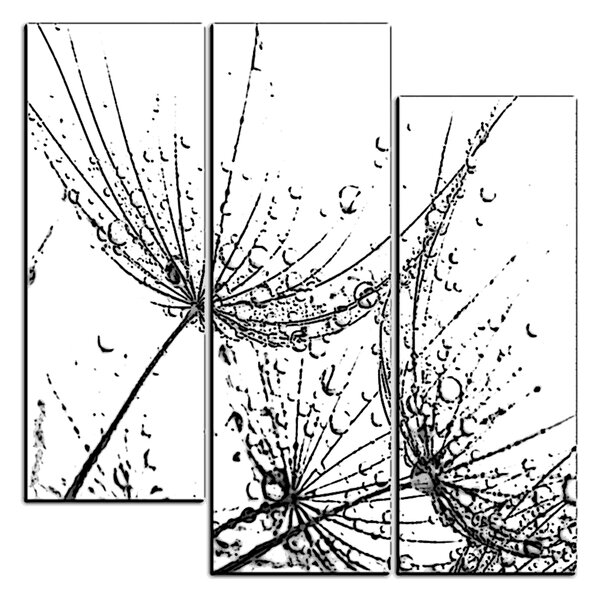Obraz na plátne - Pampeliškové semienka s kvapkami vody - štvorec 3202QC (75x75 cm)