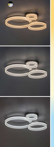 Rabalux 71385 - LED Stropné svietidlo AMILIA LED/24W/230V 3000/4000/6500K čierna