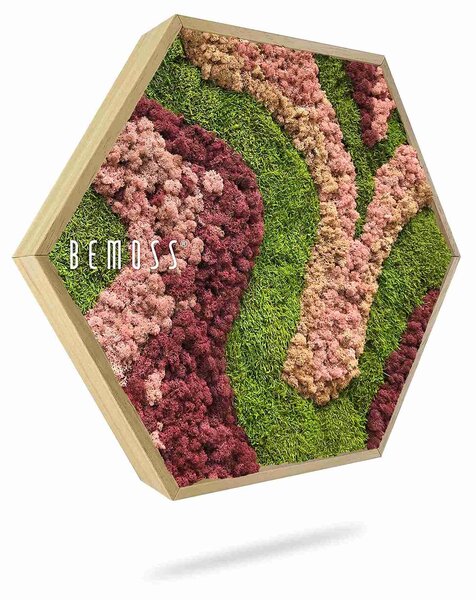 Machový Hexagon BEMOSS® ORTHO ARROSA - Priemer 30 cm (v najširšom mieste šesťuholníka)