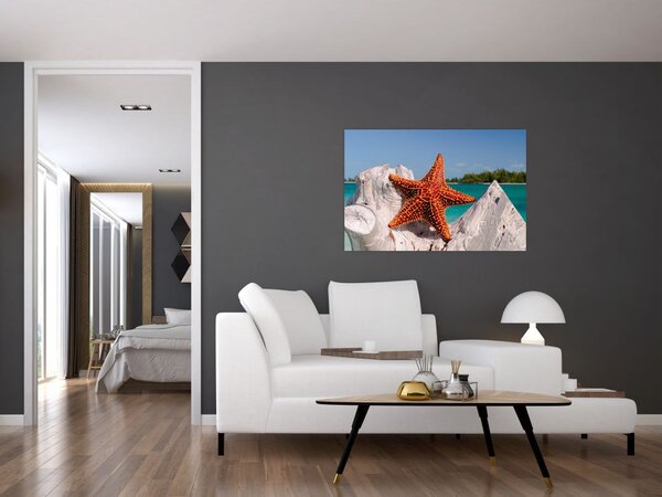 Obraz morskej hviezdice (90x60 cm)