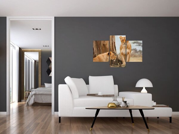 Obraz - dve levice (90x60 cm)