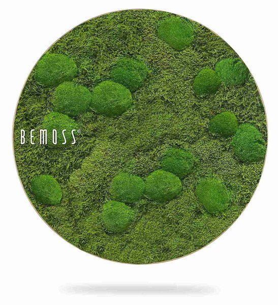Machový obraz kruh FLATMOSS & BOLMOSS Aves - Priemer 40 cm