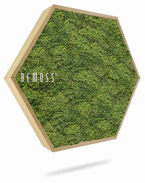 Machový Hexagon FLATMOSS Light - Priemer 30 cm (v najširšom mieste šesťuholníka)