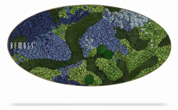 Machový obraz Elipsa BEMOSS® ORTHO OMBRE Blue - 50 x 100 cm