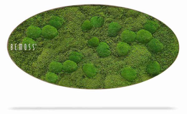 Machový obraz Elipsa FLATMOSS & BOLMOSS Aves - 50 x 100 cm