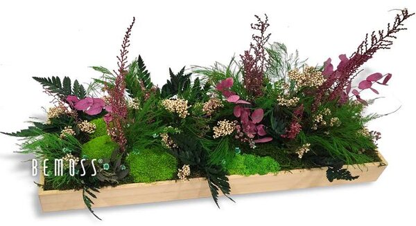 Machová dekorácia na stôl RASTLINY Galicia - 30 x 20 cm
