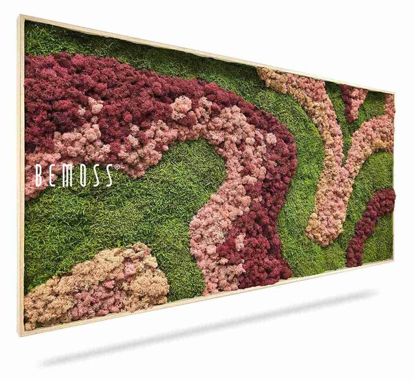 Machový obraz BEMOSS® ORTHO ARROSA - 40 x 40 cm