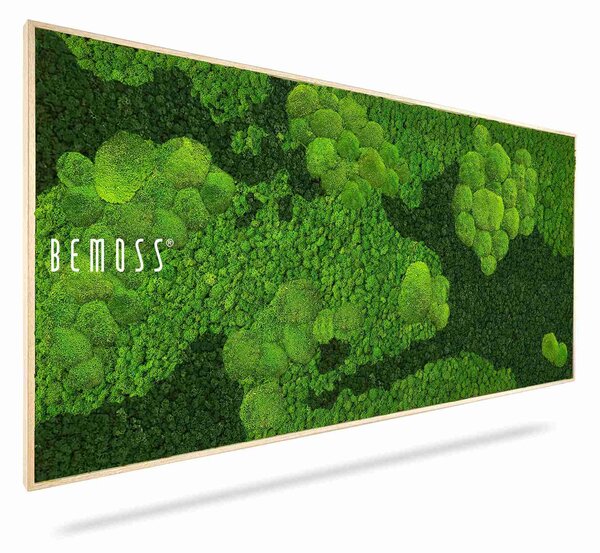 Machový obraz BEMOSS® ORTHO CORCON - 40 x 40 cm