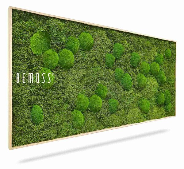 Machový obraz FLATMOSS & BOLMOSS Aves - 40 x 40 cm