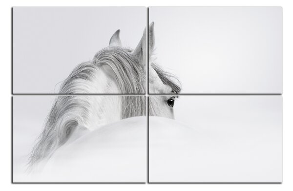 Obraz na plátne - Andalúzsky kôň v hmle 1219E (90x60 cm)