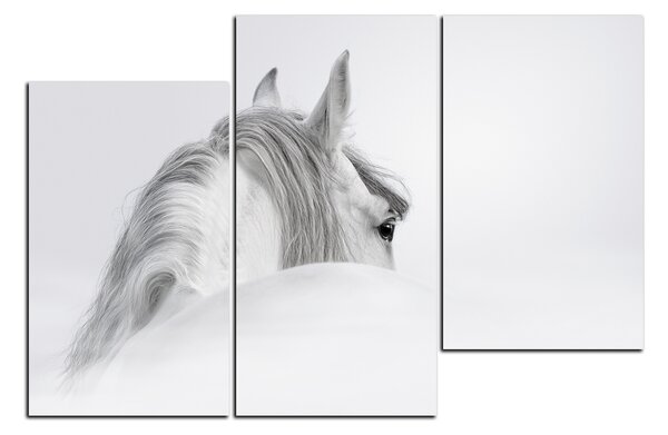 Obraz na plátne - Andalúzsky kôň v hmle 1219D (105x70 cm)