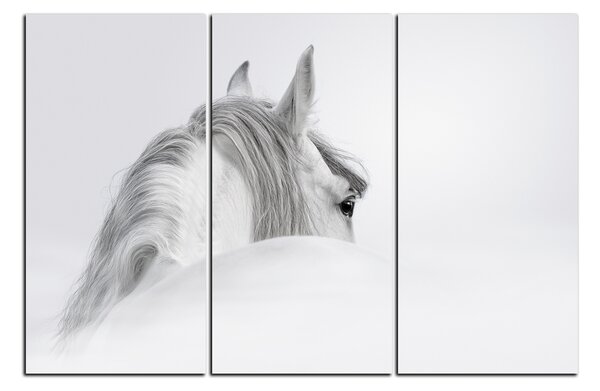 Obraz na plátne - Andalúzsky kôň v hmle 1219B (90x60 cm )