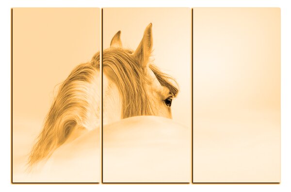 Obraz na plátne - Andalúzsky kôň v hmle 1219FB (90x60 cm )