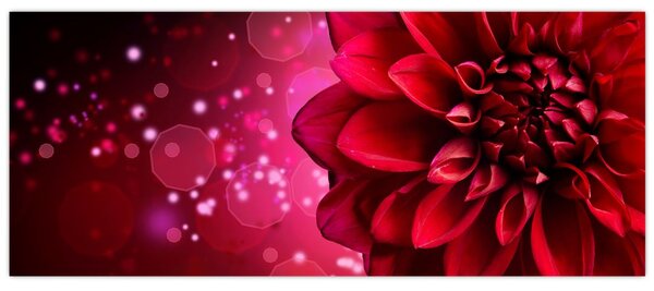 Obraz červené kvety (120x50 cm)