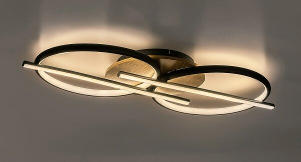 Rabalux 71403 - LED Stropné svietidlo ARASH LED/40W/230V 3000/4000/6500K