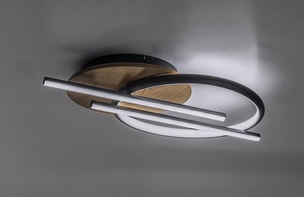 Rabalux 71404 - LED Stropné svietidlo ARASH LED/40W/230V 3000/4000/6500K