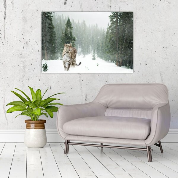 Obraz leoparda v snehu (90x60 cm)