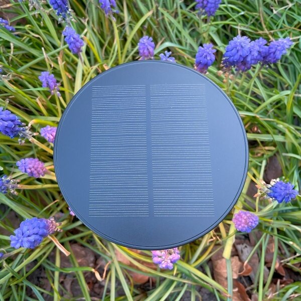 Zuma Line DT33611 - LED Solárna lampa CARLI LED/2W/2000 mAh IP44 čierna