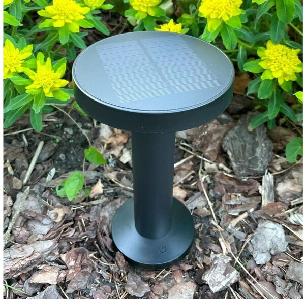 Zuma Line DT33611 - LED Solárna lampa CARLI LED/2W/2000 mAh IP44 čierna