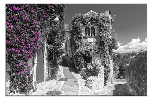 Obraz na plátne - Krásna architektúra v Provence 1236QA (75x50 cm)