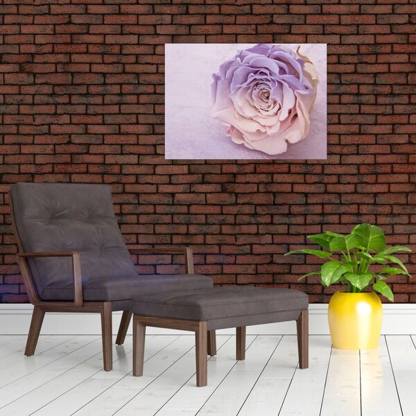 Obraz detailu kvetu ruže (70x50 cm)