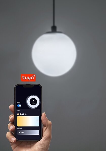 Rabalux 70131 - LED Stm. luster na lanku do 1-fáz. lišt. sys. LiTrack LED/5W/24V