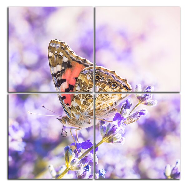 Obraz na plátne - Motýľ na levanduľe - štvorec 3221E (60x60 cm)