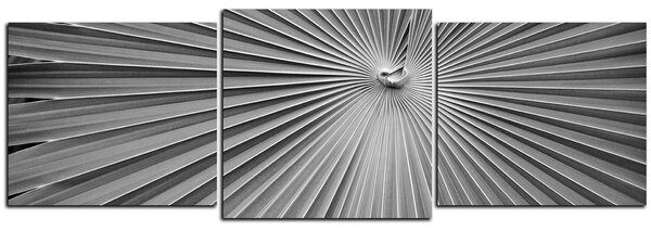 Obraz na plátne - Tropické listy - panoráma 5205QD (90x30 cm)