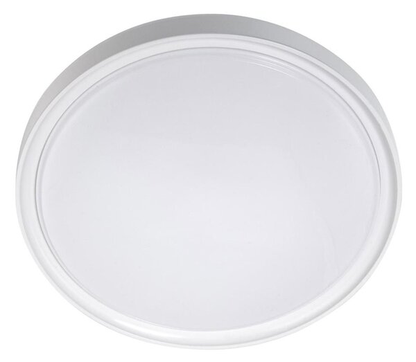 LED Stropné svietidlo LED/18W/230V pr. 30 cm biela