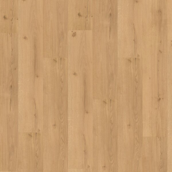 Vinyl Parador Basic 2.0 Dub Infinity prírodný 1730799 4,47 m²
