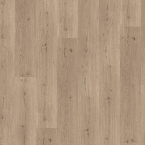Vinyl Basic 30 Dub Infinity šedý 1730635 1,83 m²