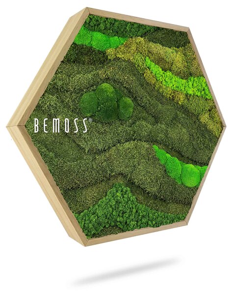 Machový Hexagon BEMOSS® ORTHO TOCÓN - Priemer 50 cm (v najširšom mieste šesťuholníka)